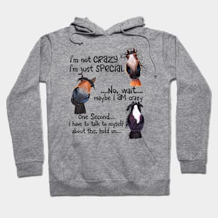 Funny Horse I'm Not Crazy I'm Just Special Hoodie